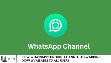 New WhatsApp Feature - Channel Forwarding Now Available to All Users