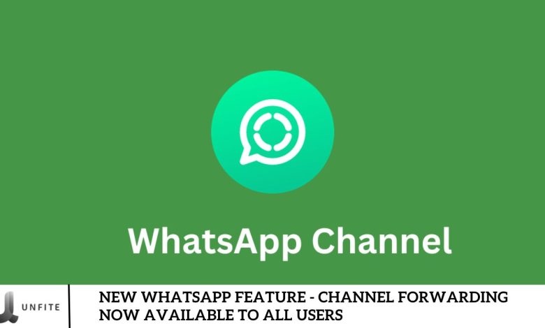 New WhatsApp Feature - Channel Forwarding Now Available to All Users