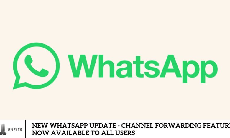 New WhatsApp Update - Channel Forwarding Feature Now Available to All Users