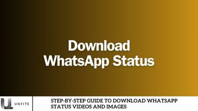 Step-by-Step Guide to Download WhatsApp Status Videos and Images