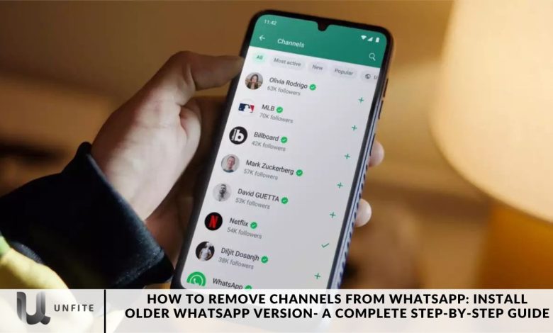 How to Remove Channels from WhatsApp: Install older WhatsApp version- A Complete Step-by-Step Guide