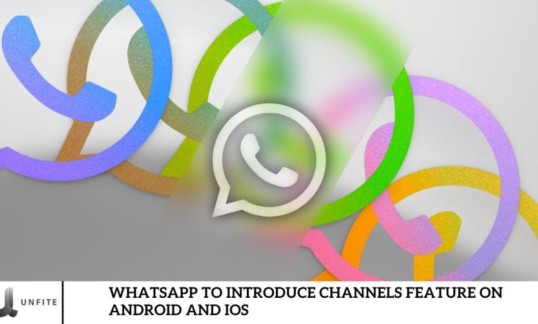 WhatsApp to Introduce Channels Feature on Android and iOS