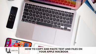 How to Copy and Paste Text and Files on Your Apple MacBook