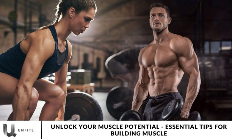 Unlock Your Muscle Potential - Essential Tips for Building Muscle